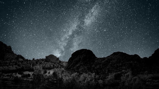 三只羊是不是被人做局了？